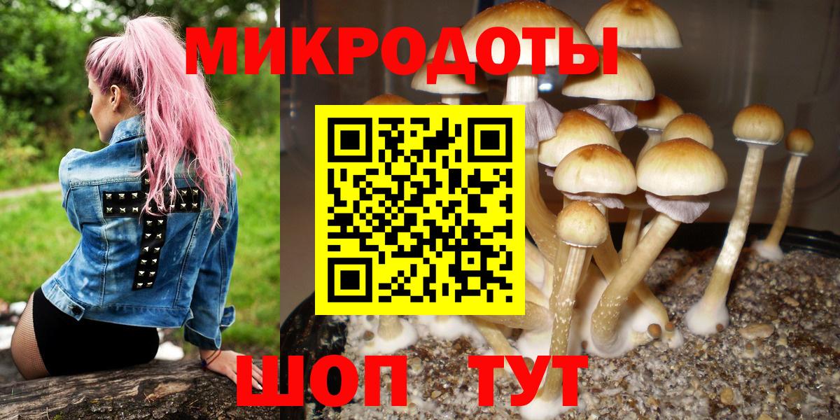 Галлюциногенные грибы MAGIC MUSHROOMS Переславль-Залесский