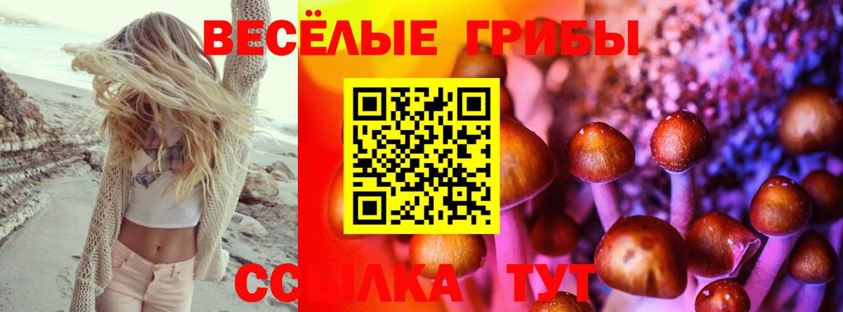 Переславль-Залесский  Псилоцибиновые грибы прущие грибы  Вход с VPN 
